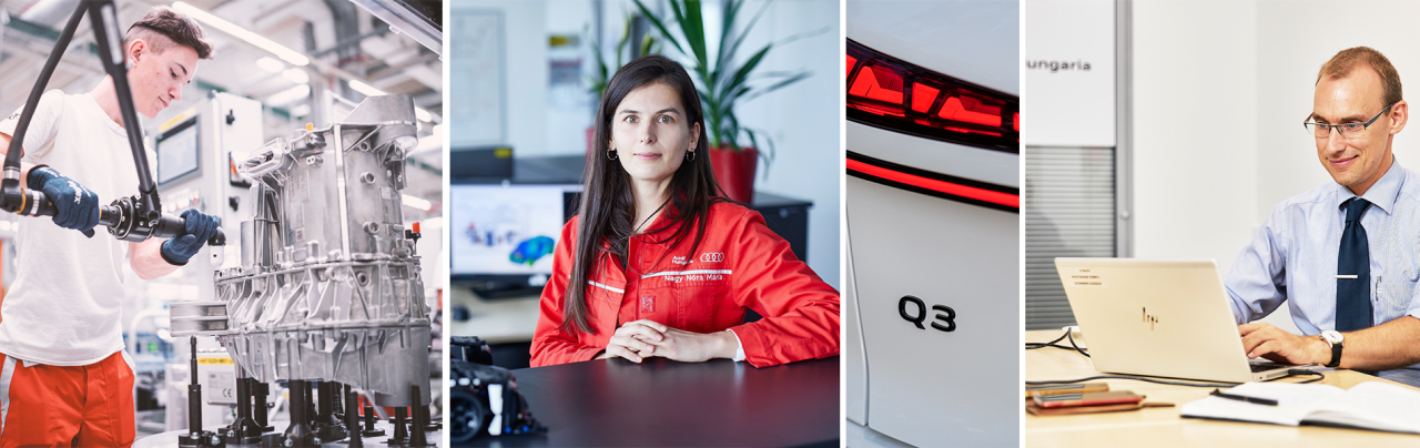 Audi Hungaria, Portfolio