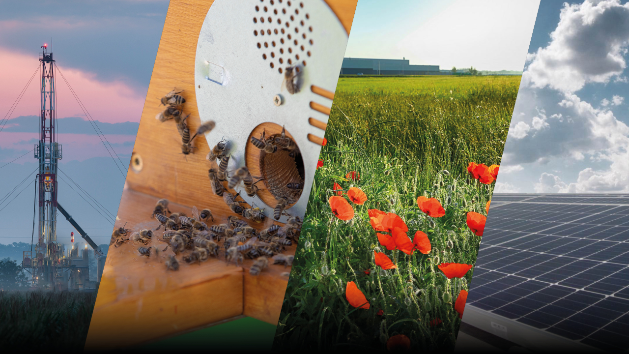 Audi Hungaria for the Environment